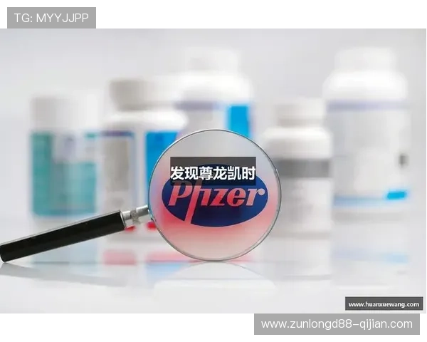 Z6尊龙真人国际:新手入门必看攻略,轻松掌握游戏技巧与玩法